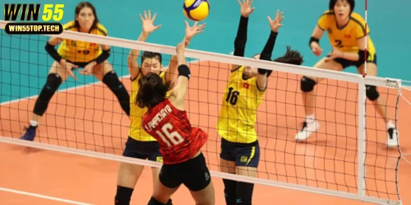 Những vị trí quan trọng của bộ môn