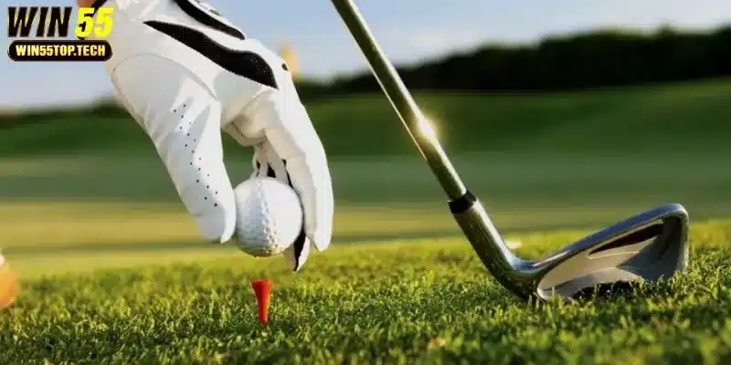 WIN55 có đa dạng kèo Golf