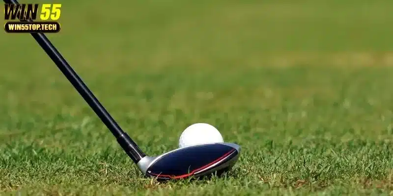 Cá Cược Golf Tại WIN55